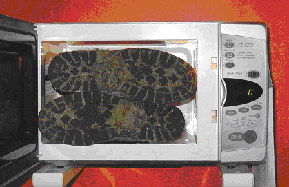 Feet in microwave